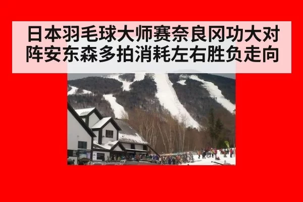 日本羽毛球大师赛奈良冈功大对阵安东森多拍消耗左右胜负走向